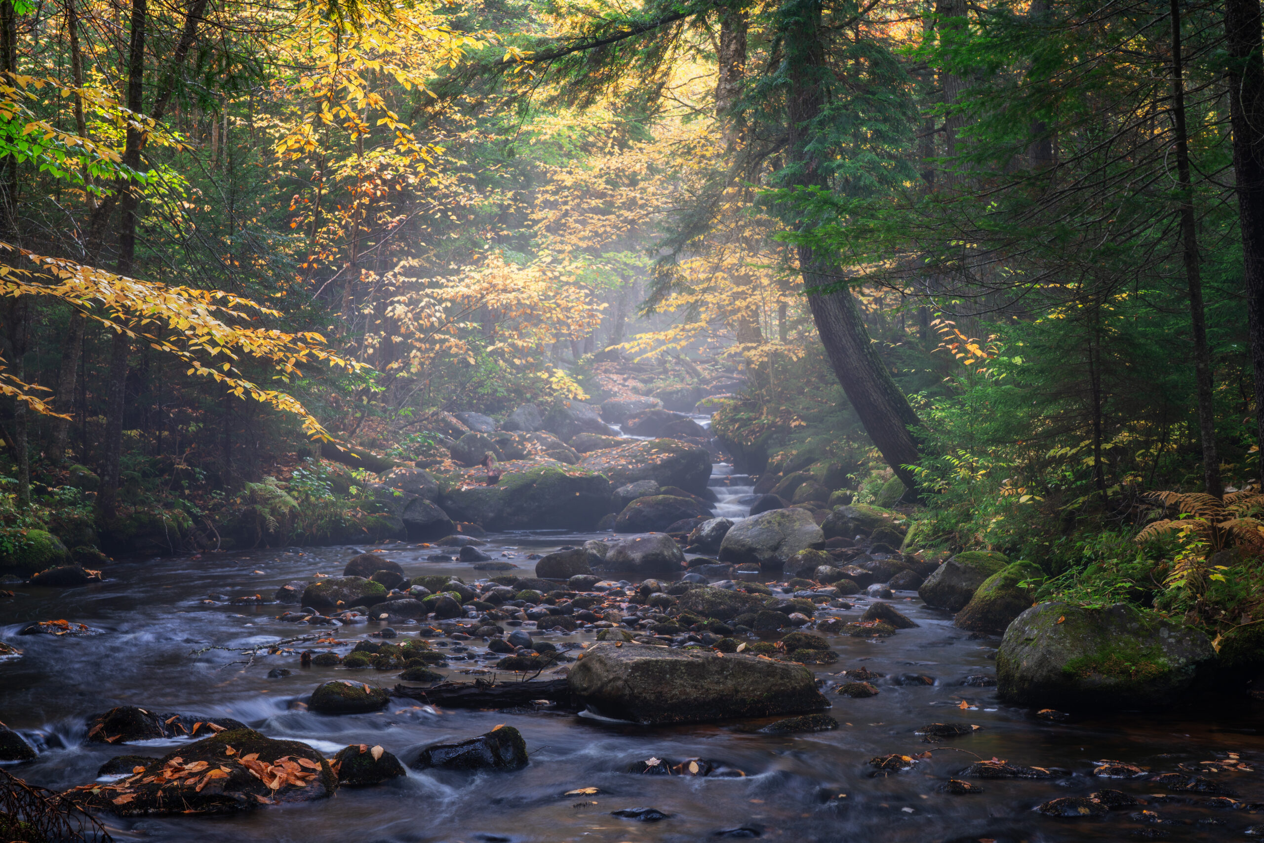 Sun light and fog on an autumn stream in the Adirondak of New York – near Forked Lake Dam